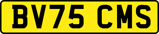 BV75CMS