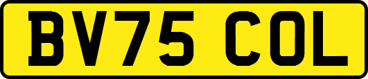 BV75COL
