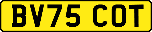 BV75COT