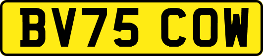 BV75COW