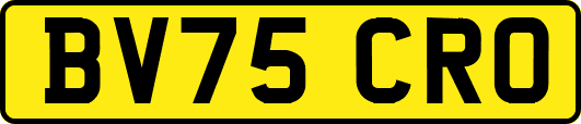 BV75CRO