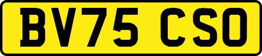 BV75CSO