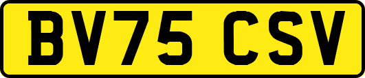 BV75CSV