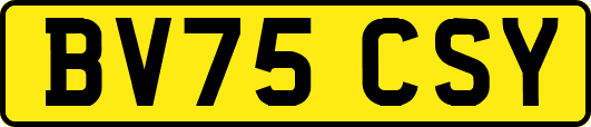 BV75CSY