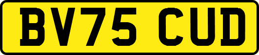 BV75CUD