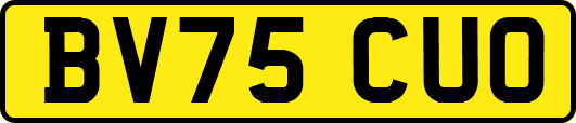 BV75CUO