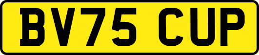 BV75CUP