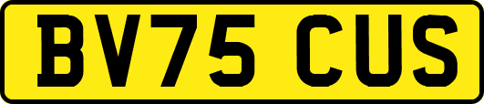 BV75CUS