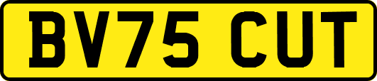 BV75CUT