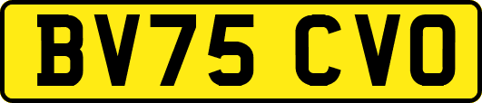 BV75CVO