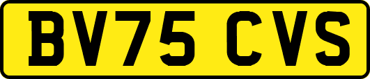 BV75CVS