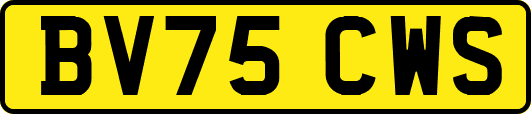 BV75CWS