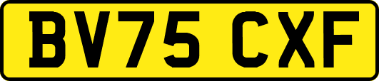 BV75CXF