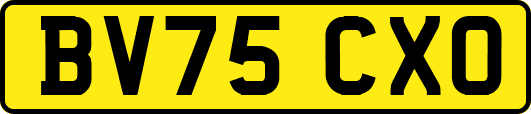 BV75CXO