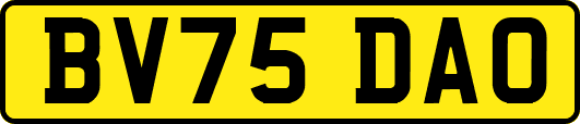 BV75DAO