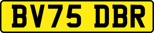BV75DBR