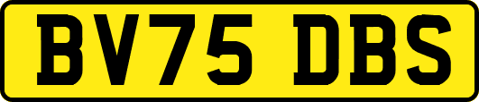 BV75DBS