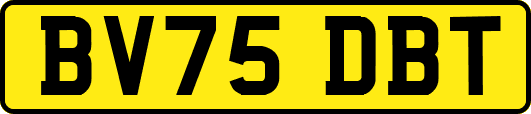 BV75DBT