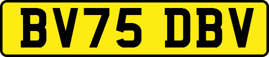 BV75DBV