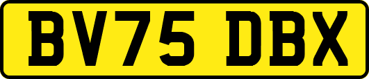BV75DBX