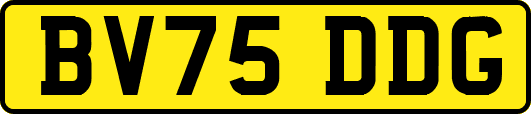 BV75DDG