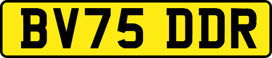 BV75DDR