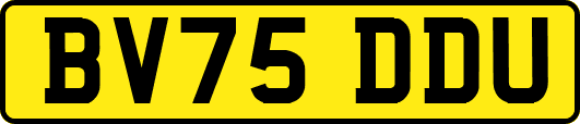BV75DDU