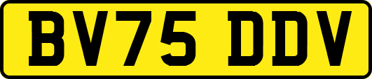 BV75DDV
