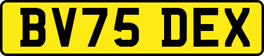 BV75DEX