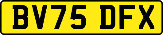 BV75DFX