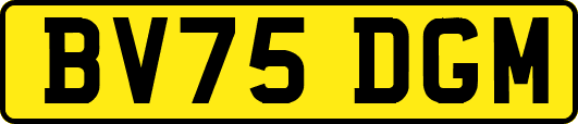 BV75DGM