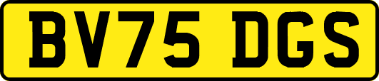 BV75DGS