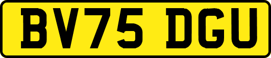 BV75DGU