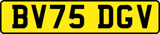 BV75DGV