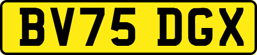 BV75DGX