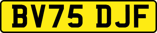 BV75DJF
