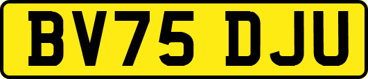BV75DJU