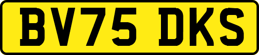 BV75DKS