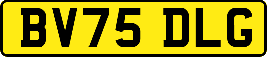 BV75DLG