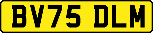 BV75DLM