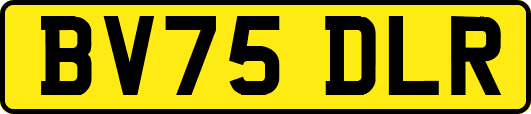 BV75DLR