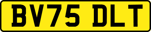 BV75DLT