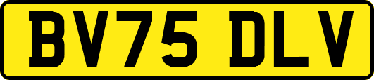 BV75DLV