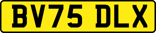 BV75DLX