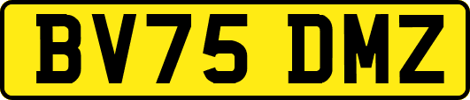 BV75DMZ