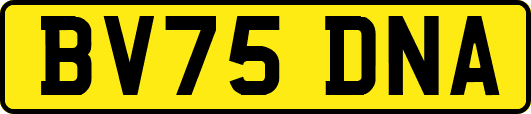 BV75DNA