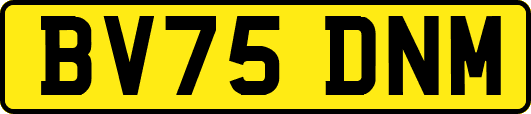 BV75DNM
