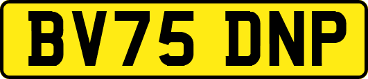 BV75DNP