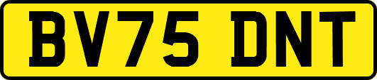 BV75DNT