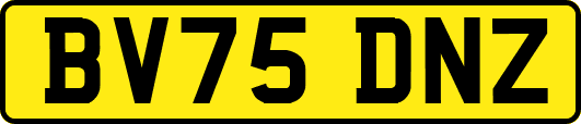 BV75DNZ